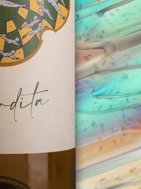 Fotografia macro della composizione organica del vino bianco favorita