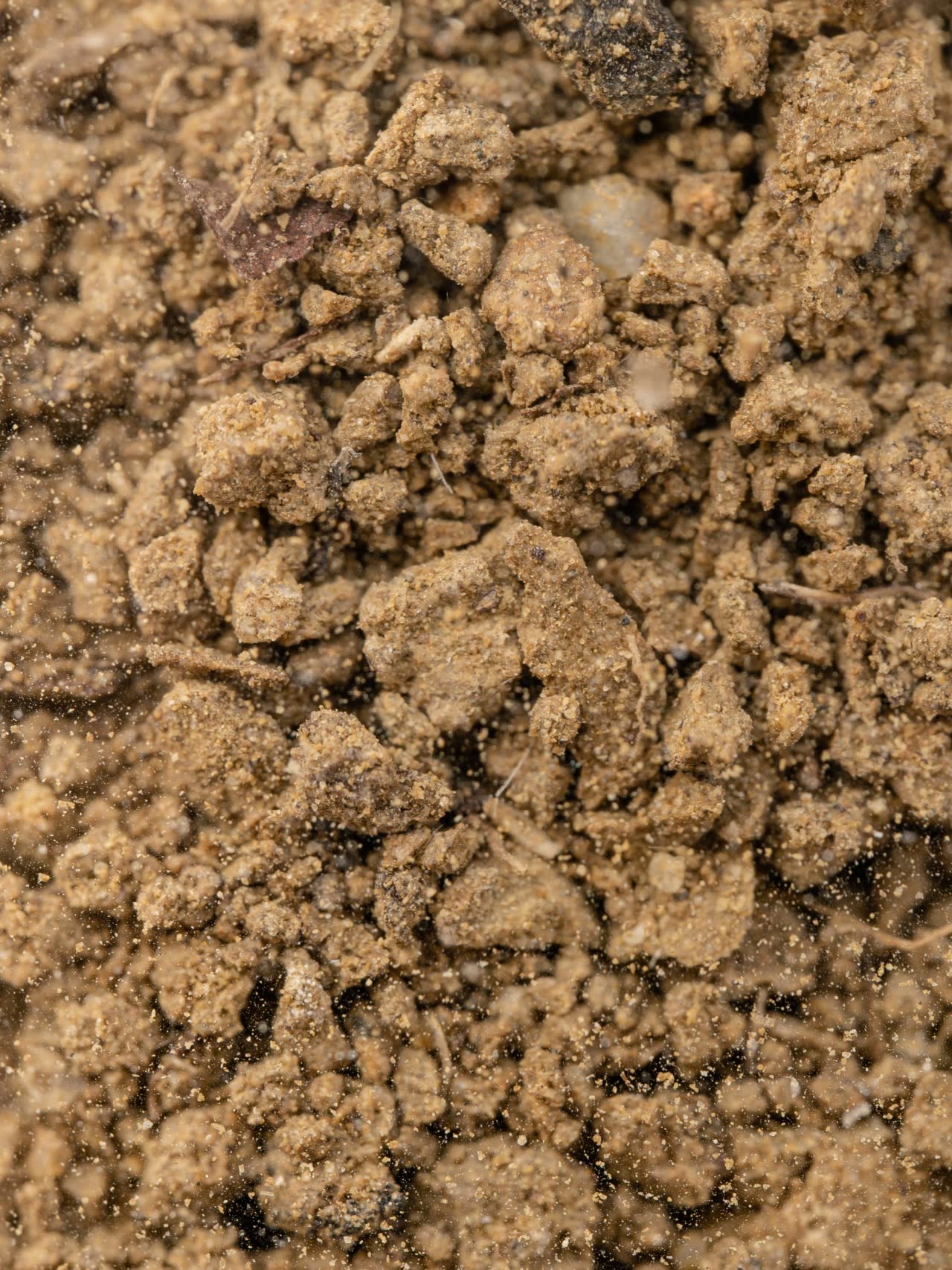 Macro di un campione di terreno argilloso proveniente dai vigneti Sorano