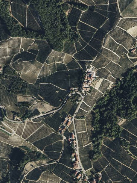 Vista satellitare della frazione di Sorano all'interno del comune di Serralunga d'Alba