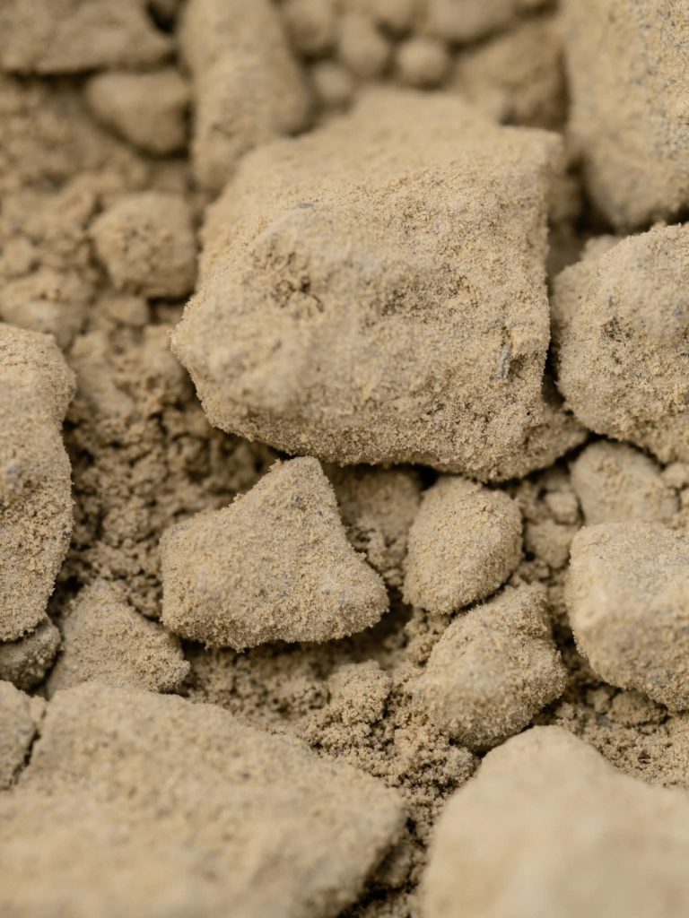 Macro di un campione di terreno sabbioso proveniente dai vigneti Sorano